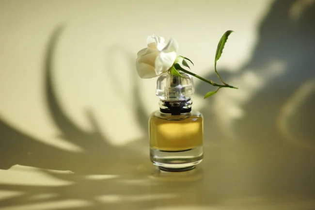 maklon parfum